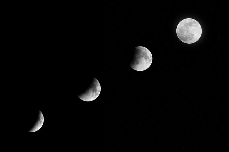 Moon Phase Centerpieces